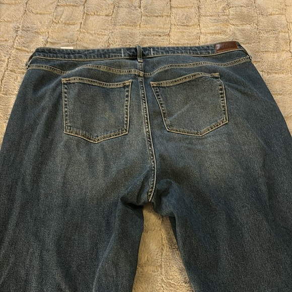Plus Size Hollister Jean! 21L (Fits like a size 22W) - Picture 7 of 10